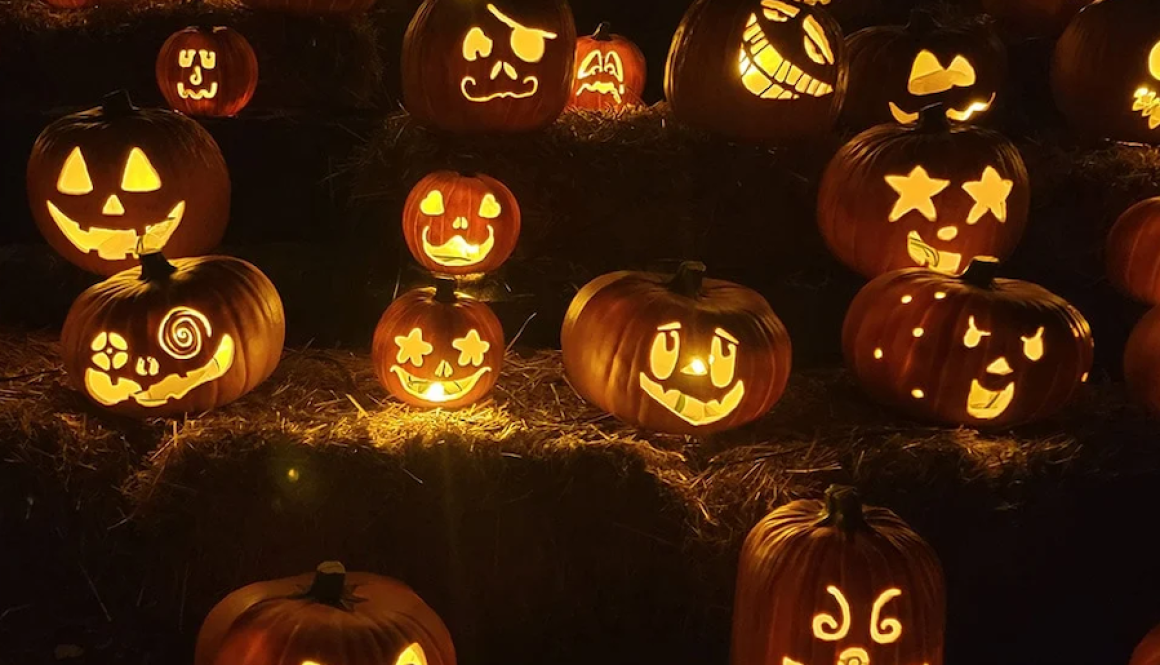 jackolantern-fred-meyer-sons-baltimore-maryland