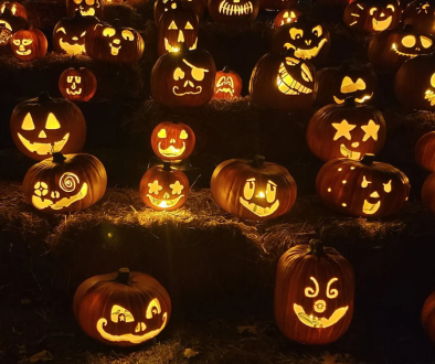 jackolantern-fred-meyer-sons-baltimore-maryland