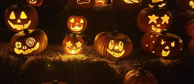 jackolantern-fred-meyer-sons-baltimore-maryland